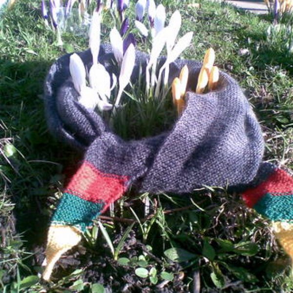 Patriotiniai mezginiai