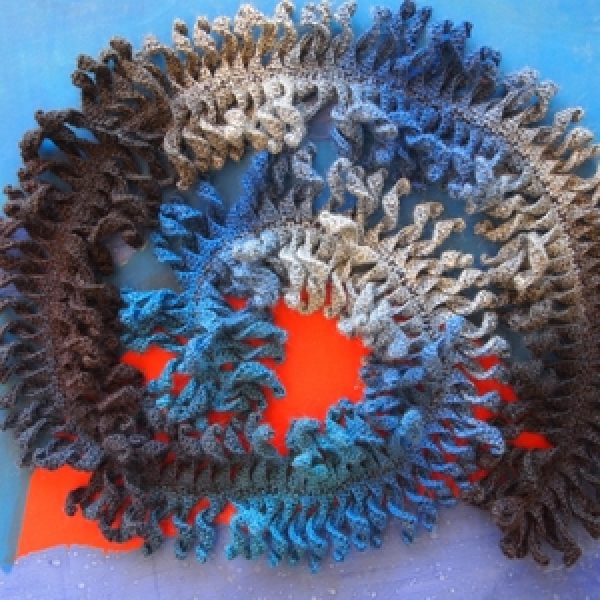 Šarangė varangė