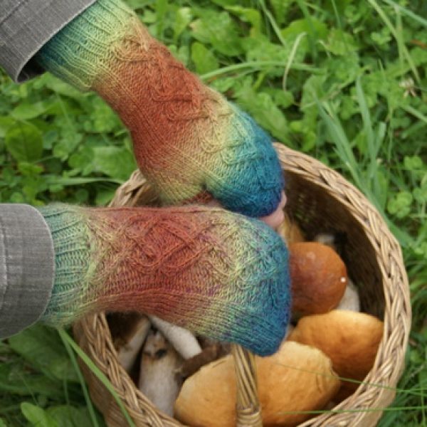 Rudens rytai