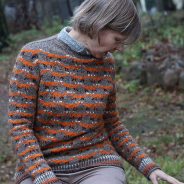 Lapių megztinis