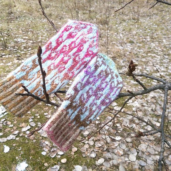Verbų sekmadienis su kačiukais