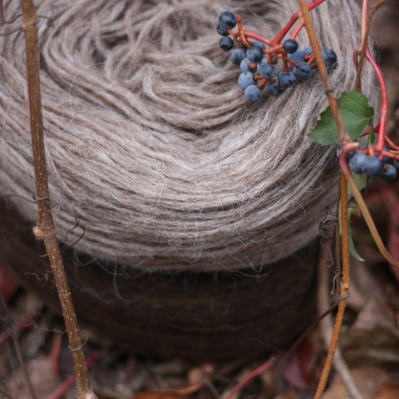 Rudeniškas Plotulopi