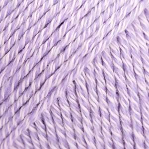 31 sweet orchid